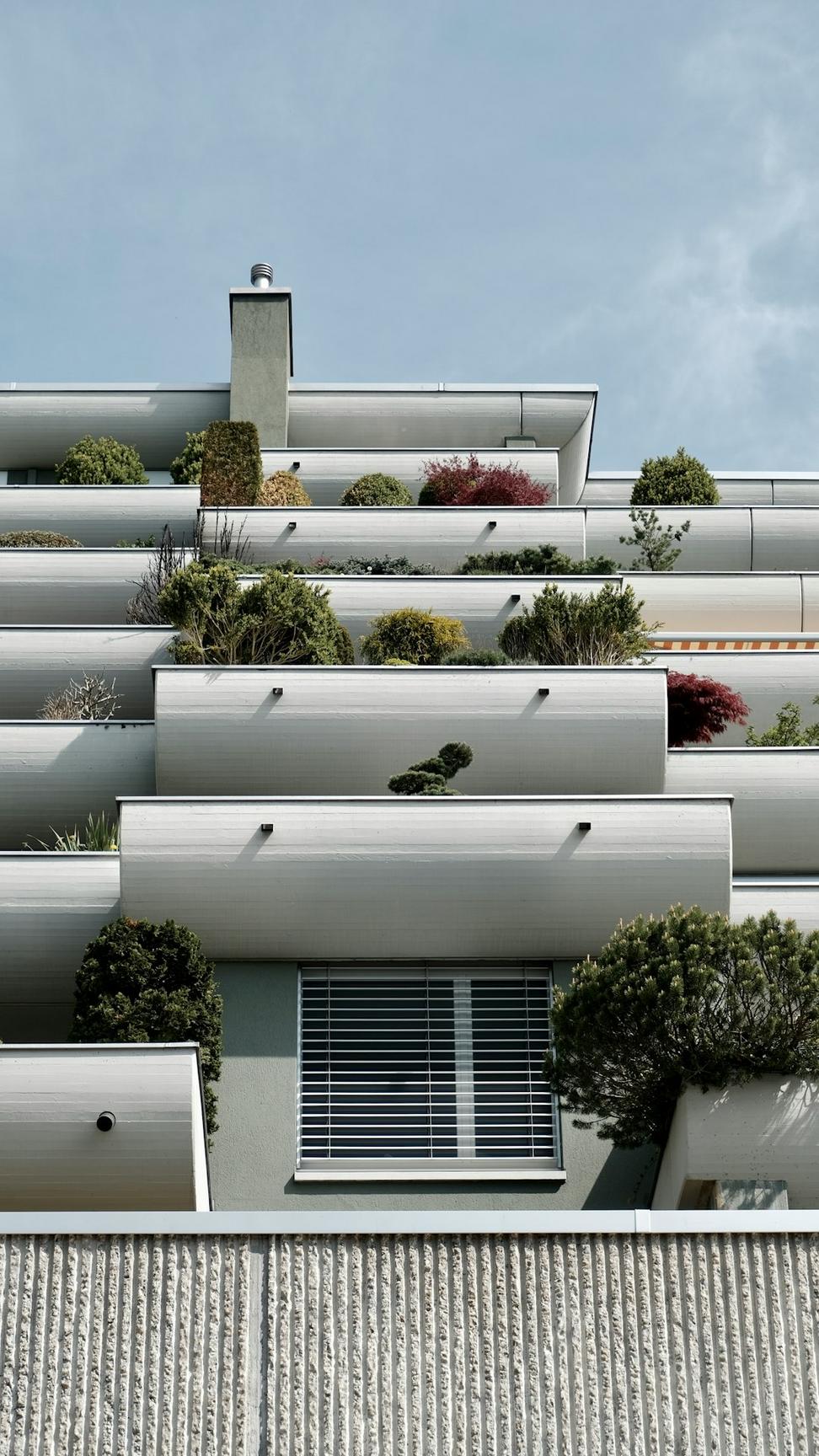 Urban Design Lead